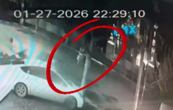 Gürcüstanda 18 yaşlı azərbaycanlı qızın öldüyü qəzanın görüntüləri