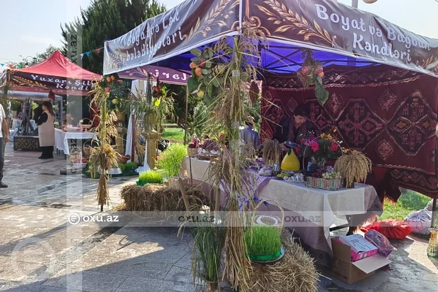 Ucarda Aqrar Biznes və 1-ci Çəltik festivalı keçirilib - Foto/Video