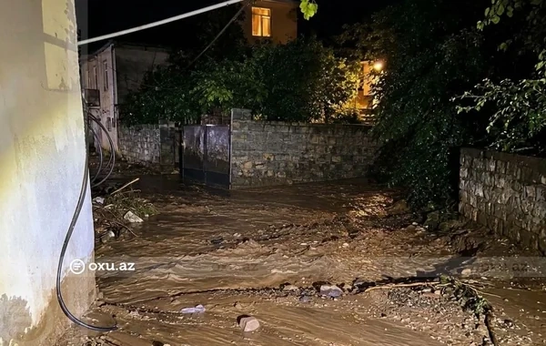 Ordubadın Dırnıs kəndinə sel gəldi, təsərrüfatlara ziyan dəydi - Video