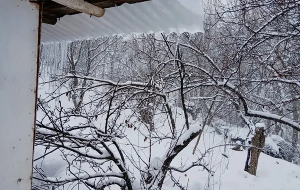 Naxçıvanda qar örtüyünün hündürlüyü YARIM METRİ KEÇDİ - FOTO