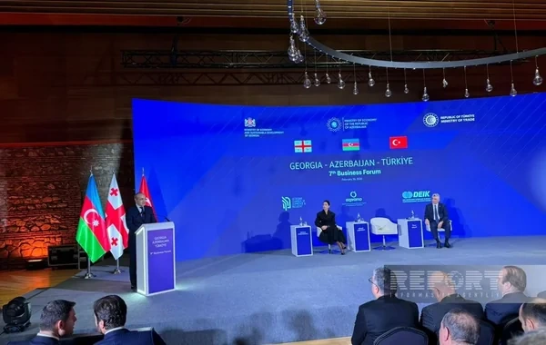 Azərbaycan Türkiyə və Gürcüstanla ticarət dövriyyəsini artırmağı hədəfləyir