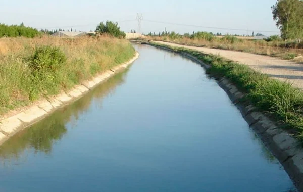 14 yaşlı Nicatın axtarışları davam edir - VİDEO