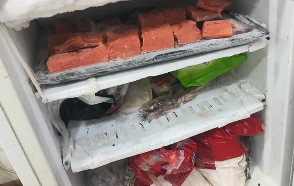 "Soyuducu təmizlənmir" - Bakıda suşi emalı müəssisəsinin fəaliyyəti müvəqqəti dayandırıldı