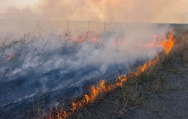 Cəbrayılda iki kənddə yanğın: FHN hərəkətə keçdi