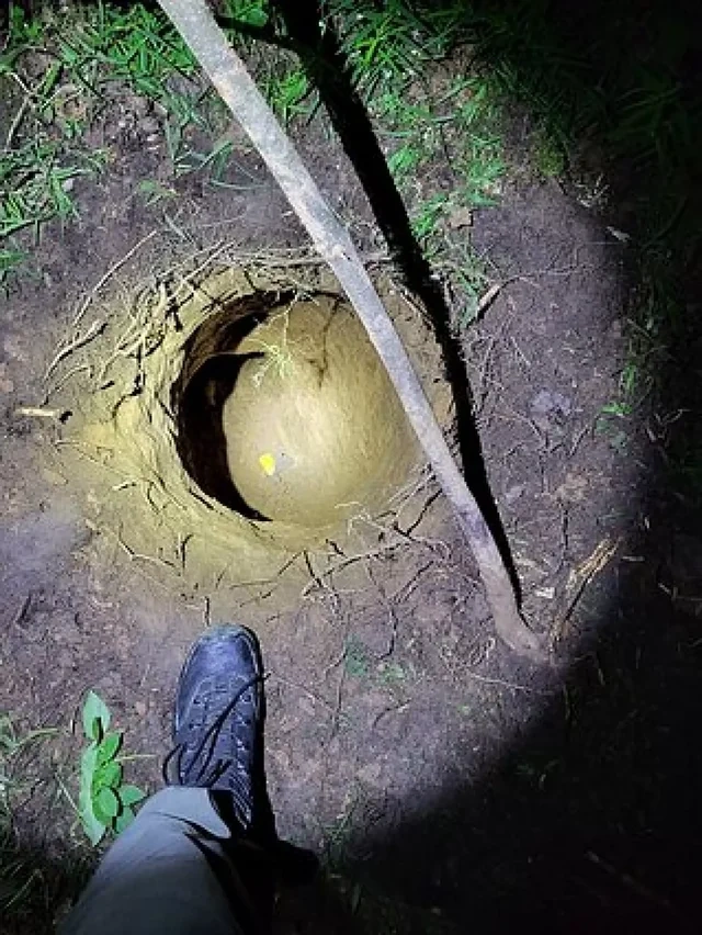 Yeraltı tunellə Litvadan Belarusa keçməyə cəhd edən miqrantlar saxlanıldılar - FOTO - VİDEO