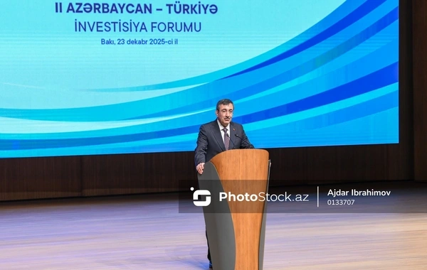 Azərbaycanla Türkiyənin qarşılıqlı investisiyalarının ümumi həcmi 39 milyard ABŞ dolları olub