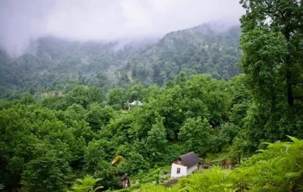 FAO Astaranın kəndini MÜKAFATLANDIRDI - FOTO