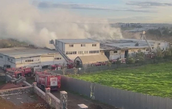 Türkiyədə karton fabrikində YANĞIN