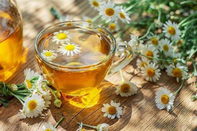Gündə neçə fincan çay içmək faydalıdır?