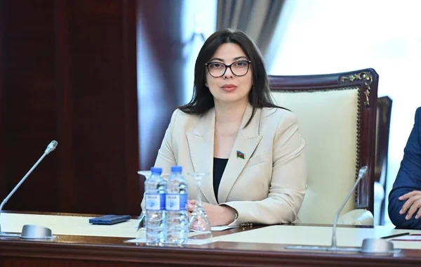 Millət vəkili: "İqtisadi əməkdaşlıq Azərbaycanla Almaniya arasındakı münasibətlərin əsas sütunlarından biridir"