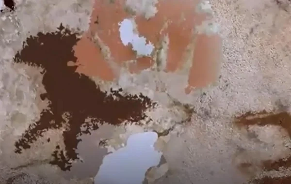 İndoneziyada tarixi tapıntı: Bəşəriyyətin ən qədim əl izi aşkar edildi