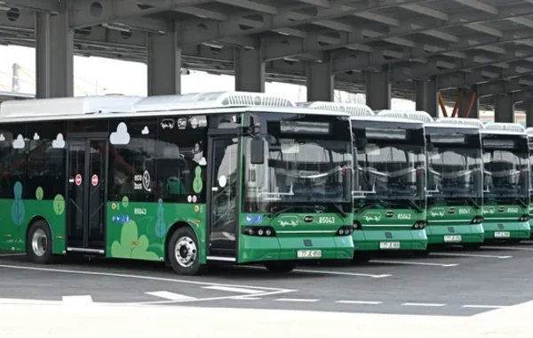 Naxçıvanda elektrik mühərrikli avtobuslar istismara verilib - VİDEO