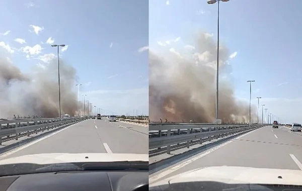 Bakıdakı güclü yanğını dövlət xidmətinin əməkdaşı törədib - Yüzlərlə ağac məhv olub