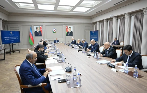 İqtisadi Şuranın növbəti iclası keçirilib - Foto