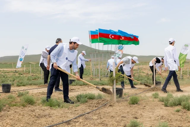 BOKT "International" ASC Ulu Öndərin xatirəsinə həsr edilmiş ağacəkmə aksiyası keçirib - FOTO