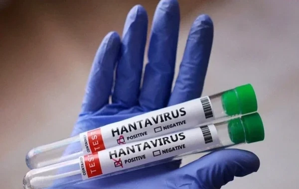 Kanadada hantavirusa yoluxma halı aşkarlandı