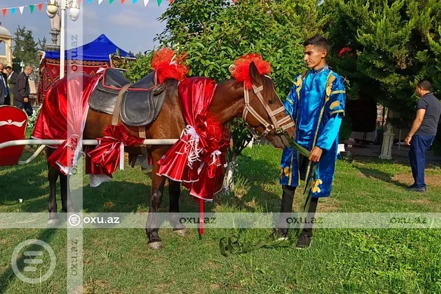 Ucarda Aqrar Biznes və 1-ci Çəltik festivalı keçirilib - Foto/Video