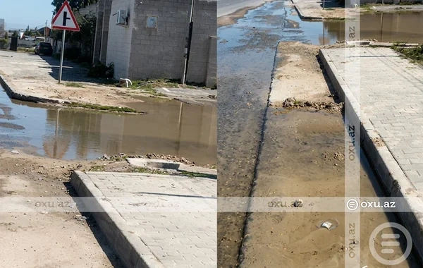 Nardaranda su xətti partlayıb, 22 gündür küçəyə axır - Sakinlərdən NARAZILIQ