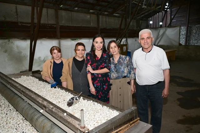 Leyla Əliyeva "Azəripək" ASC-nin fəaliyyəti ilə yaxından tanış olub - FOTO