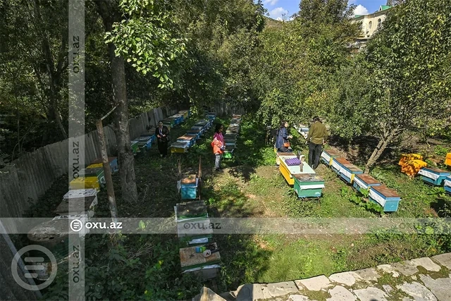 Tarixin yaşadığı küçələr, unudulmayan sənətlər: Basqal və Lahıcdan reportaj - Foto/Video