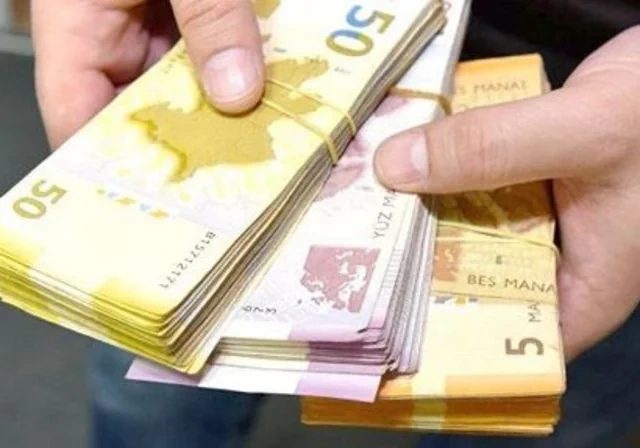 "Təkcə altı ayda 37% artım" - Problemli kreditlərin artmasının əsas AMİLLƏRİ