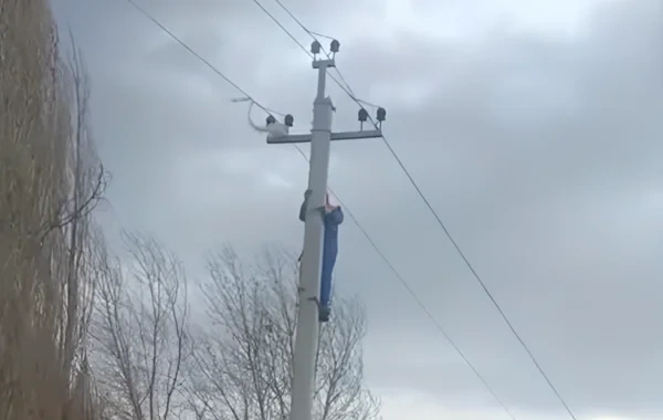 Güclü külək bəzi ərazilərdə fəsadlara səbəb oldu - VİDEO