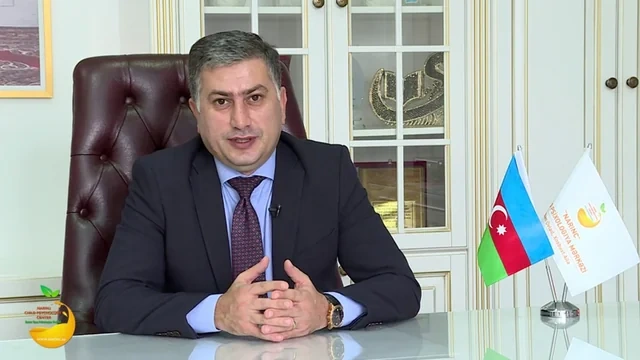 "Mənə təcili pul at..." - İnsanlar bu psixoloji tələyə niyə düşürlər? - FOTO