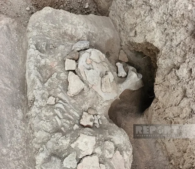 Cəlilabadda sensasiyalı tapıntı: Cənubi Qafqazda analoqu olmayan daş kürə aşkarlandı - FOTO