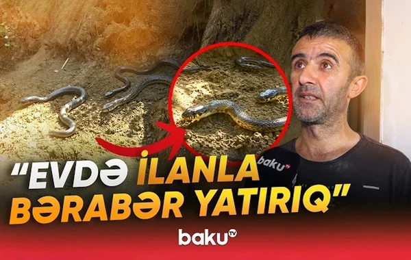 Binəqədidə torpaq sürüşməsindən sonra evlər qəzalı vəziyyətdə - "Axşam ilanlar da gəlir" - VİDEO