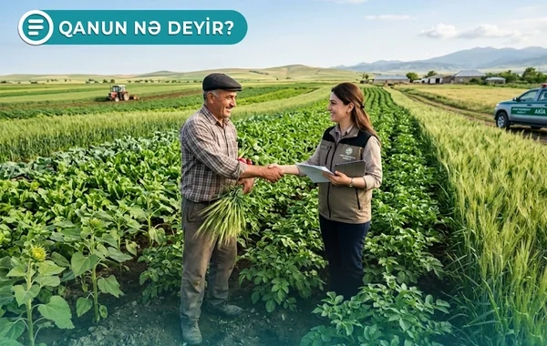 Bir sıra şəxslərin kredit faizlərini dövlət ödəyəcək - Qanun nə deyir? - VİDEO