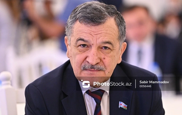 Deputat: "Mədəniyyətimizi küçə səviyyəsinə endirməyə icazə verməməliyik"