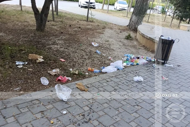 Bakının məşhur parkı baxımsız qalıb - FOTO
