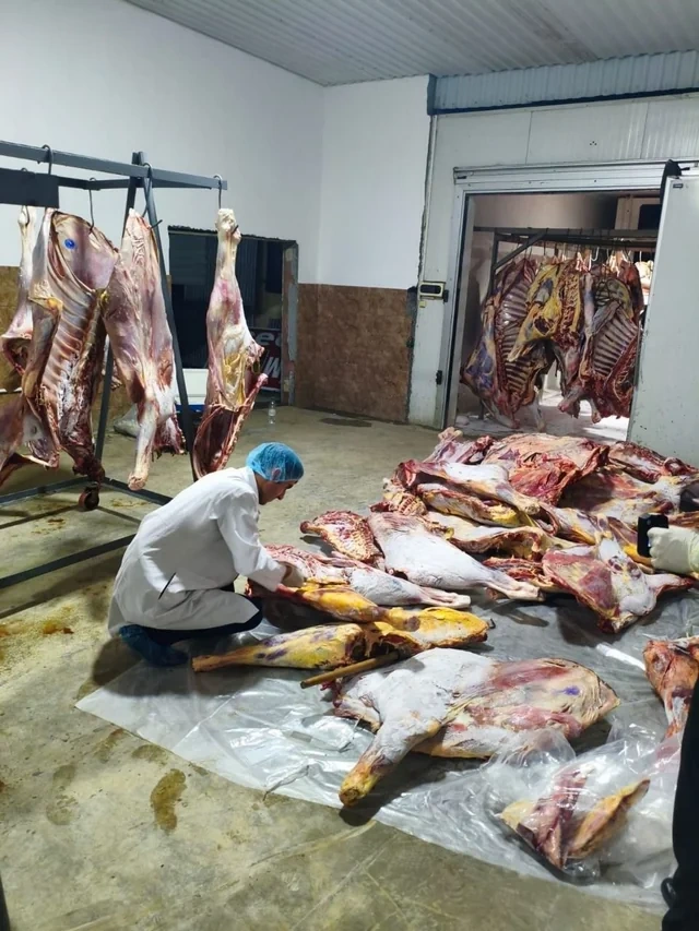 Masallıda üç tondan çox istehlaka yararsız ət aşkarlanıb - FOTO - VİDEO
