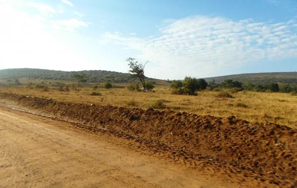 Afrika parçalanır: Yeni okean yaranır