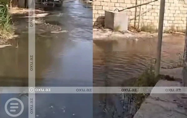 Biləcəridə kanalizasiya daşıb, küçə keçilməz olub - VİDEO