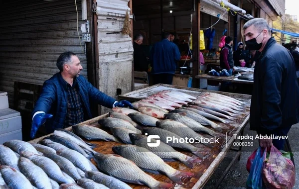 Geosiyasi gərginliyin daha bir təsiri: Balıq bazarında bahalaşma gözlənilir?