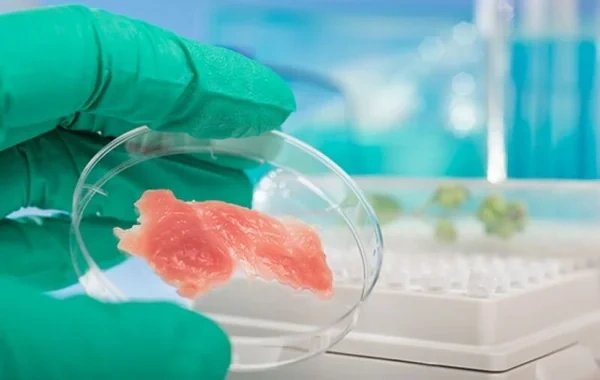 Gələcəyin əti laboratoriyadan gələcək: Steyk istehsalında İNQİLAB