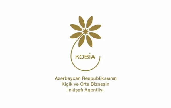 Cari ilin I yarısında KOB evlərində sahibkarlara 312 mindən çox xidmət göstərilib - FOTO