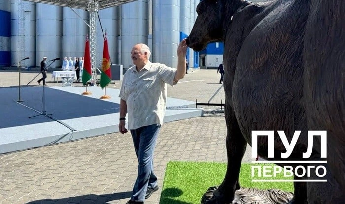 Lukaşenkoya inək heykəli hədiyyə edildi - Foto