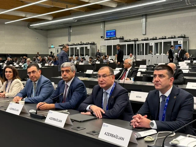 AHİK sədri Sahib Məmmədov Beynəlxalq Əmək Konfransının 114-cü sessiyasında çıxış edib - FOTO