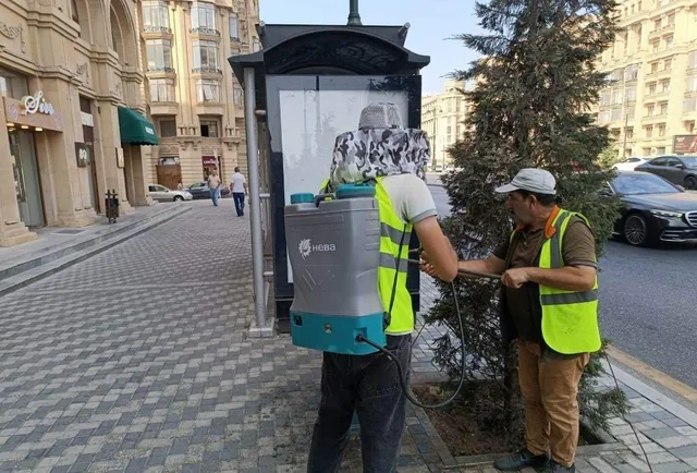 Bakıda böyük təmizlik - FOTO