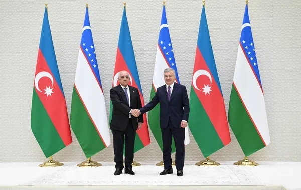 Şavkat Mirziyoyev Əli Əsədovu qəbul edib - FOTO