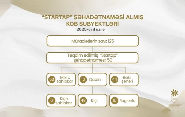 Ötən il neçə mikro və kiçik sahibkar innovativ layihələr üzrə vergi güzəştləri əldə edib?