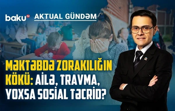 Məktəblərdə silahlı hücumlar niyə artır, uşaqlar nəyi demək istəyirlər? - VİDEO