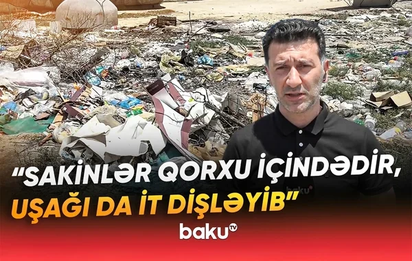 Pirşağıda zibil problemi: Üfunət, sahibsiz itlərin hücumu... - VİDEO