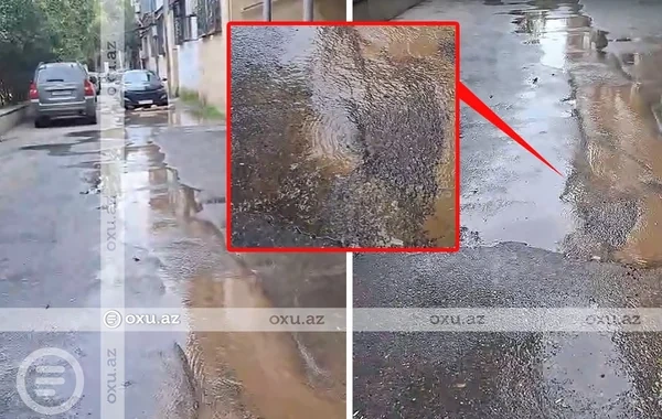 Binəqədidə içməli su küçəyə axır - Video