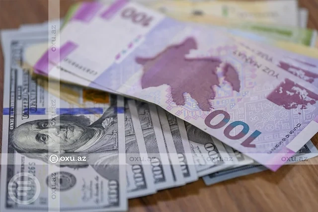 Azərbaycanın valyuta ehtiyatları dünya normasını 13 dəfədən çox üstələyir