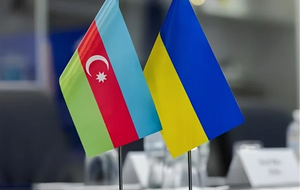 Ukrayna səfiri Azərbaycana təşəkkür etdi