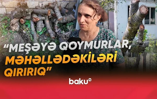 30 ildən çoxdur qaz üzünə həsrət qalan sakinlər: "Gilas ağacını kəsib yandırırıq" - VİDEO