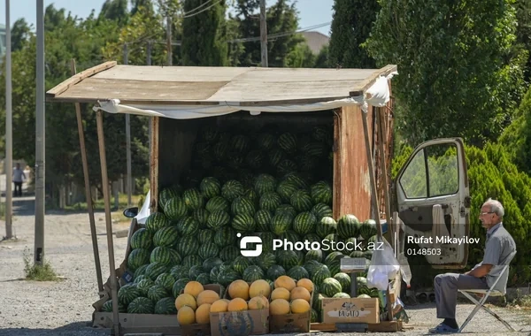 Günəş altında alıcı gözləyən satıcılar: Yayın zəhmət dolu mənzərəsi - FOTO